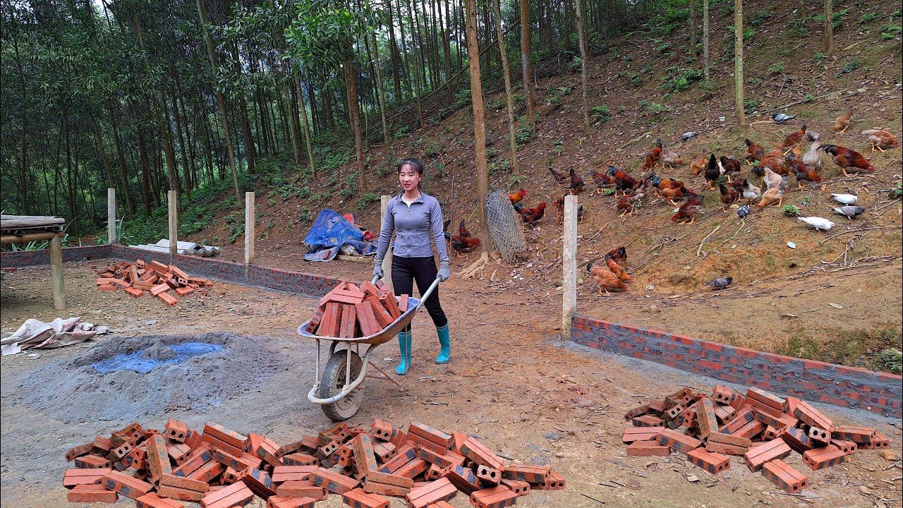 постройте ферму, используйте кирпичи и цемент для возведения прочного забора.
