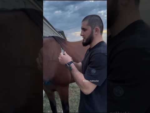 Из Ислама Махачева выйдет хороший ветврач #ufc #mma #islammakhachev
