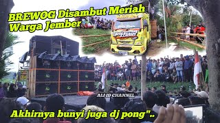 Gokil Perdana Brewog Di Jember Langsung Bikin Heboh