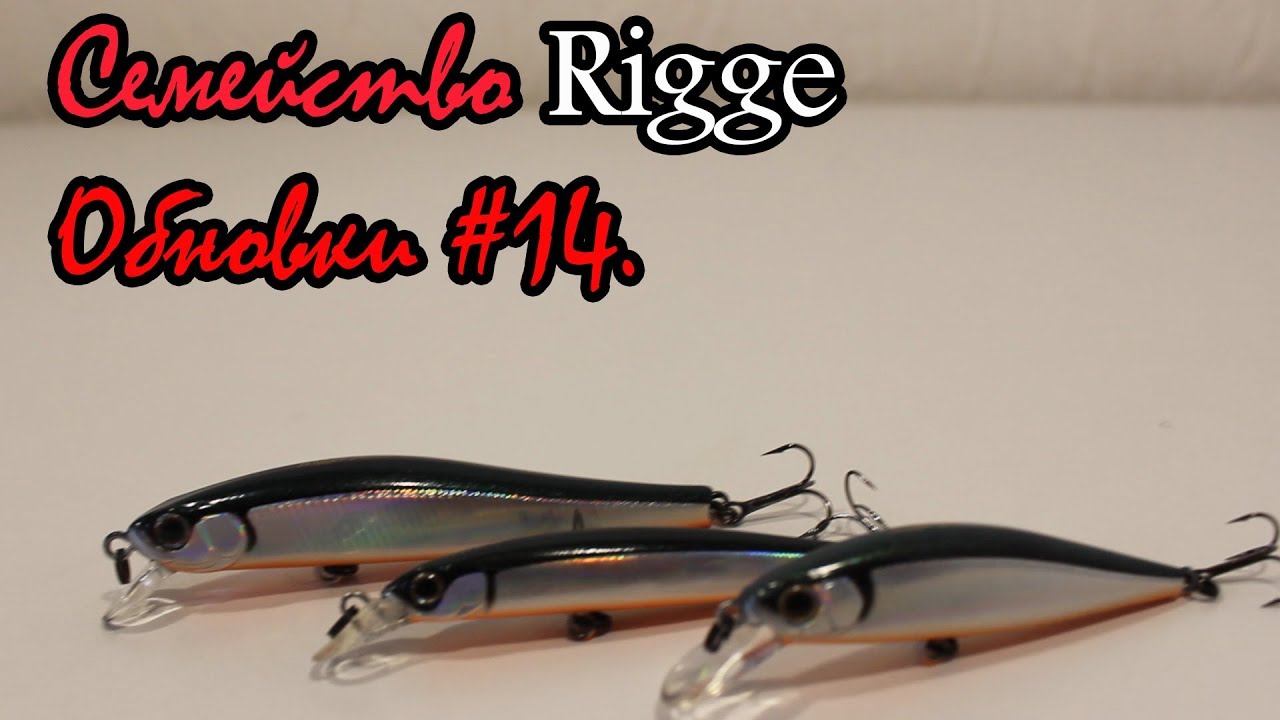 Подготовка к сезону 2019  обновки #14