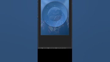 Creating a Stunning Poster Design with Affinity Designer 2 | Creative Inspiration