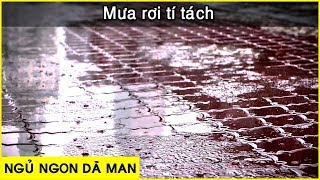 [ Ngủ ngon dã man ] với tiếng mưa rơi \\