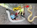 Brave soldiers risk their lives to save girl attacked by giant white python in abandoned house