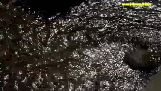 春水の流れ 名主の滝公園20230311