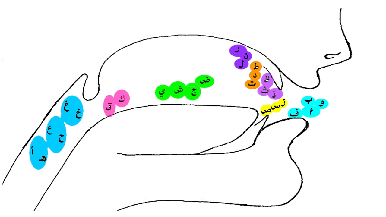 Махарадж арабских букв в картинках