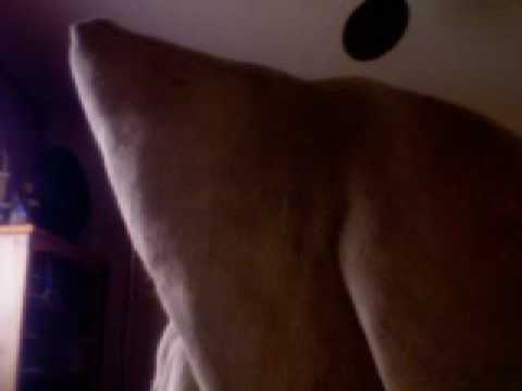 Re: Beds Are Burning - TckTckTck Campaign (time4cl...