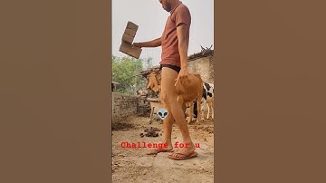 #technology #newcreatorhelp #tricks #shortsfeed #shorts #viral #tech #technology #tricks #tips #fact