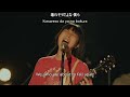 Ayano Kaneko - 光の方へ (Towards the Light) LIVE 2020 [ENG SUB]