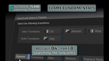 Flame Fundamentals - Module 4 - Part 08 - Searching the Sequence