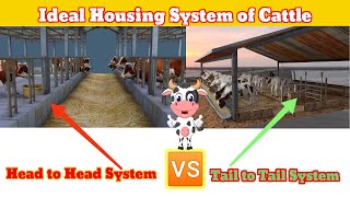 Head to Head system and Tail to Tail system//It's advantages and Disadvantages// based on profit..