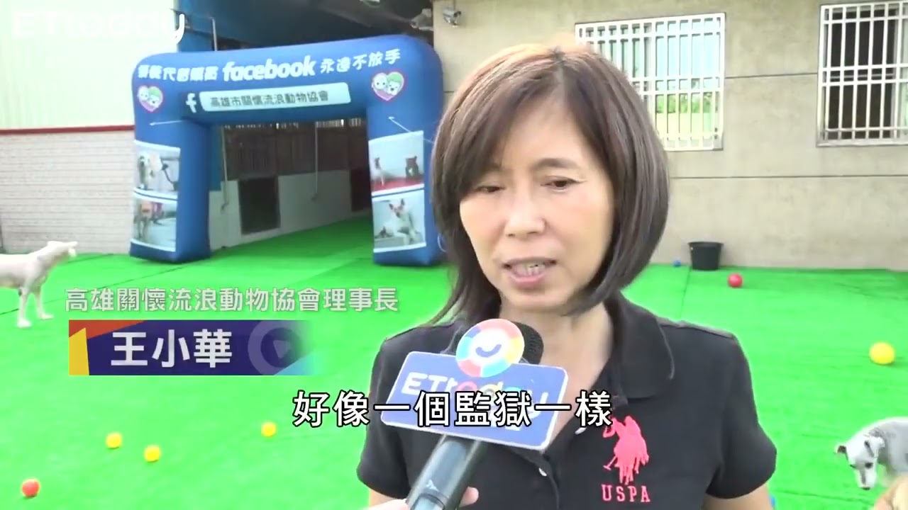 高雄市關懷流浪動物協會 給孩子們一個家 愛牠 永遠不放手