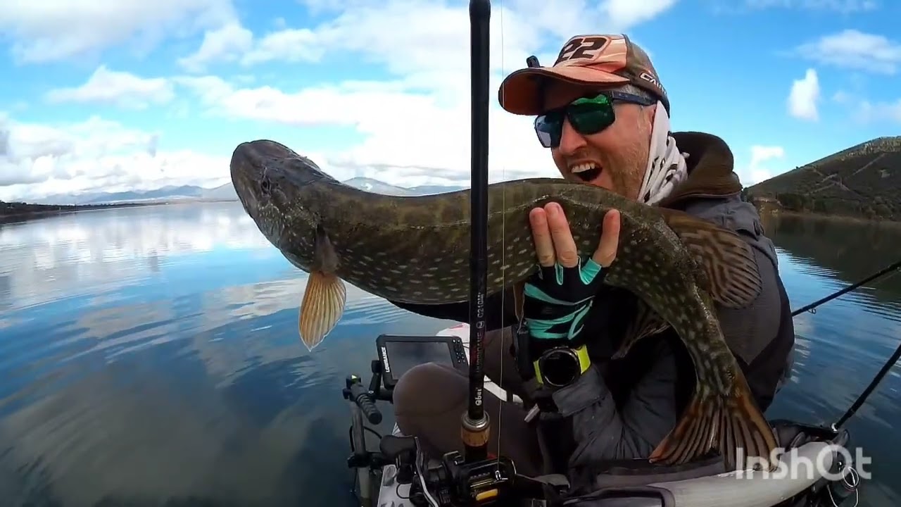 🔥Lucios resabiados🔥