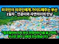 [해외반응]한국여행이 처음인 캐나다인의 부산 여행기 1일차/외국인들은 부산여행 어디로갈까? 외국인이 외국인에게 알려주는 부산여행 가이드!/감천문화마을과 송도, 태종대, 오륙도