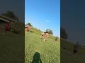 August 2025 Practice #football #soccer