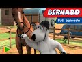 Bernard Bear 133 DRESSAGE Full Episode