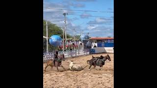 BRUNO SILVA ETAPA PEPB #x1vaquejadanoticias