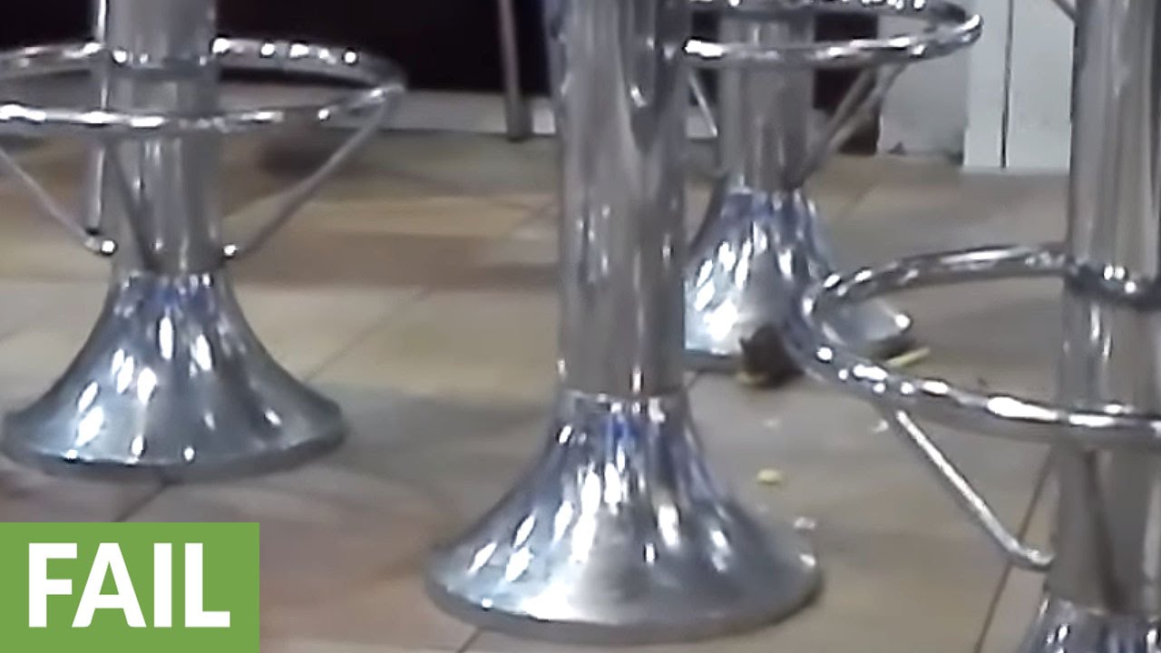 Mouse freely roams undisturbed in popular fast food restaurant