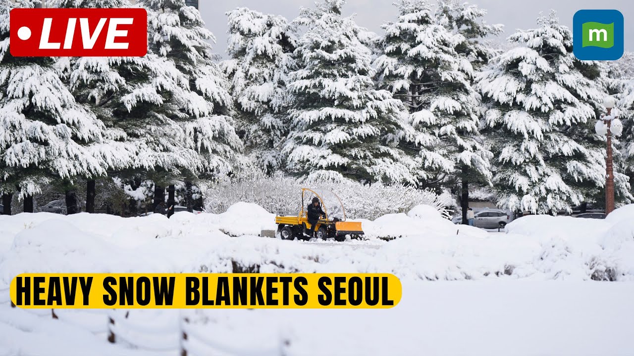 Live: Heavy snow blankets Seoul metropolitan area and causes traffic ...