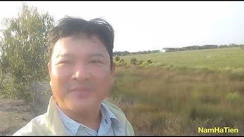 Bất động sản-Đất ruộng 2 mặt tiền lộ nhựa giá bèo-TamLinh