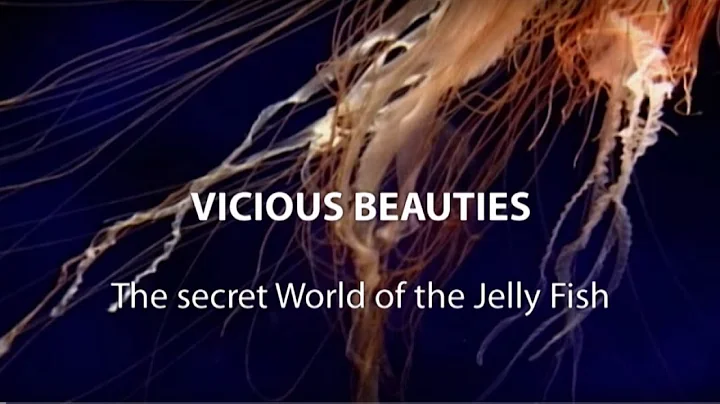 ► Vicious Beauties - The Secret World Of The Jellyfish (Full Documentary, HD) - DayDayNews