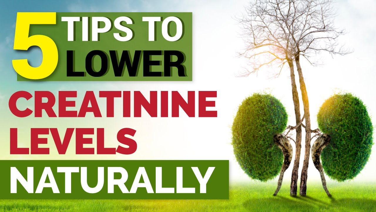 5 Tips to Lower Creatinine Levels Naturally YouTube
