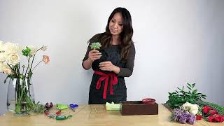How to get succulents in an arrangement