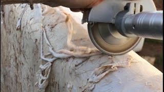 Fleshing A Cowhide Tanning With Flesh-All Mini Flesher