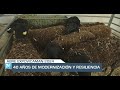 El Campo | Abre Expovicaman 2024. 40 años de modernización, calidad y resiliencia | 09/05/24