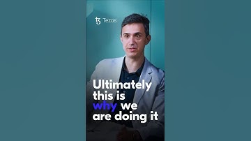 Tezos Co-Founder Arthur Breitman - The next chapter for Tezos #interview #podcast #clips
