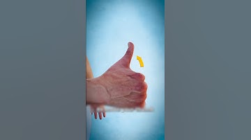 Thumbnail of What Does This Long Thumb Muscle Do? 🤔 #3dnimation #shorts