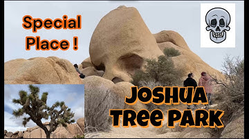 Searching for the Amazing SKULL ROCK  @johnauvin