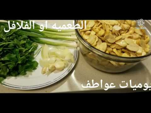 الطعميه او الفلافل بالفول الناشف مقرمشه ولذيذه 