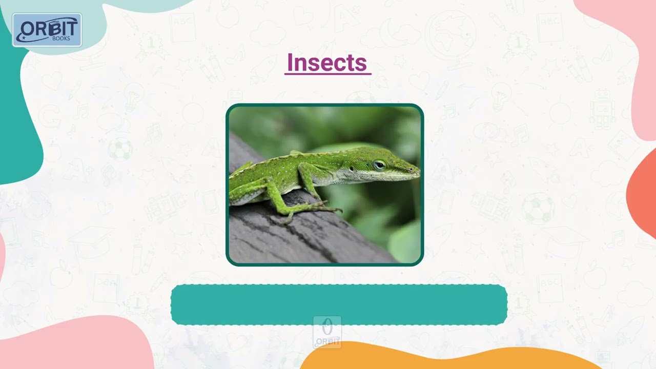 🔍 Odd One Out | Orbit – My Book of General Knowledge 2 | Chapter 4 