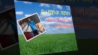 Dj Faruk Serin (Tanimaz Olaydim Seni)