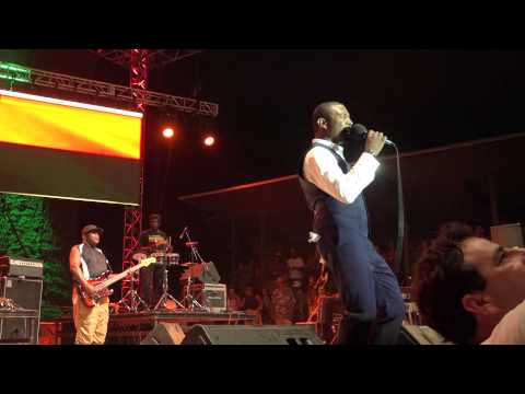 Bitty McLean and Sly and Robbie 'Dedicated to the One I Love' Reggae on the River Aug 1 2014