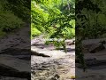 Stubb’s Falls, Ontario