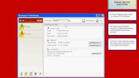 How to execute a backup process manually