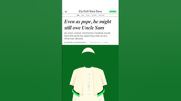 yup, even the new pope has to file his expat taxes by the deadline on June 16th  👀 #newpope #expat