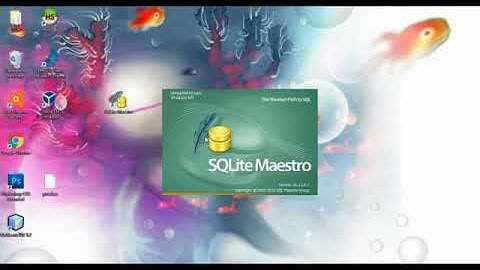 Instalacion y funcionamiento del sistema gestor de base de datos Sqlite Maestro