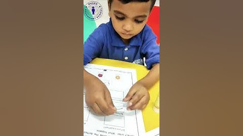 Concept of before and after | Scissor skills | PYIII | DSSNN3