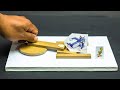 Science Projects | Cat And Mouse Game