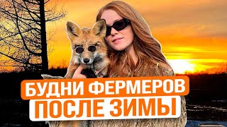 УБОРКА НА ФЕРМЕ ПОСЛЕ ЗИМЫ | Будни в деревне