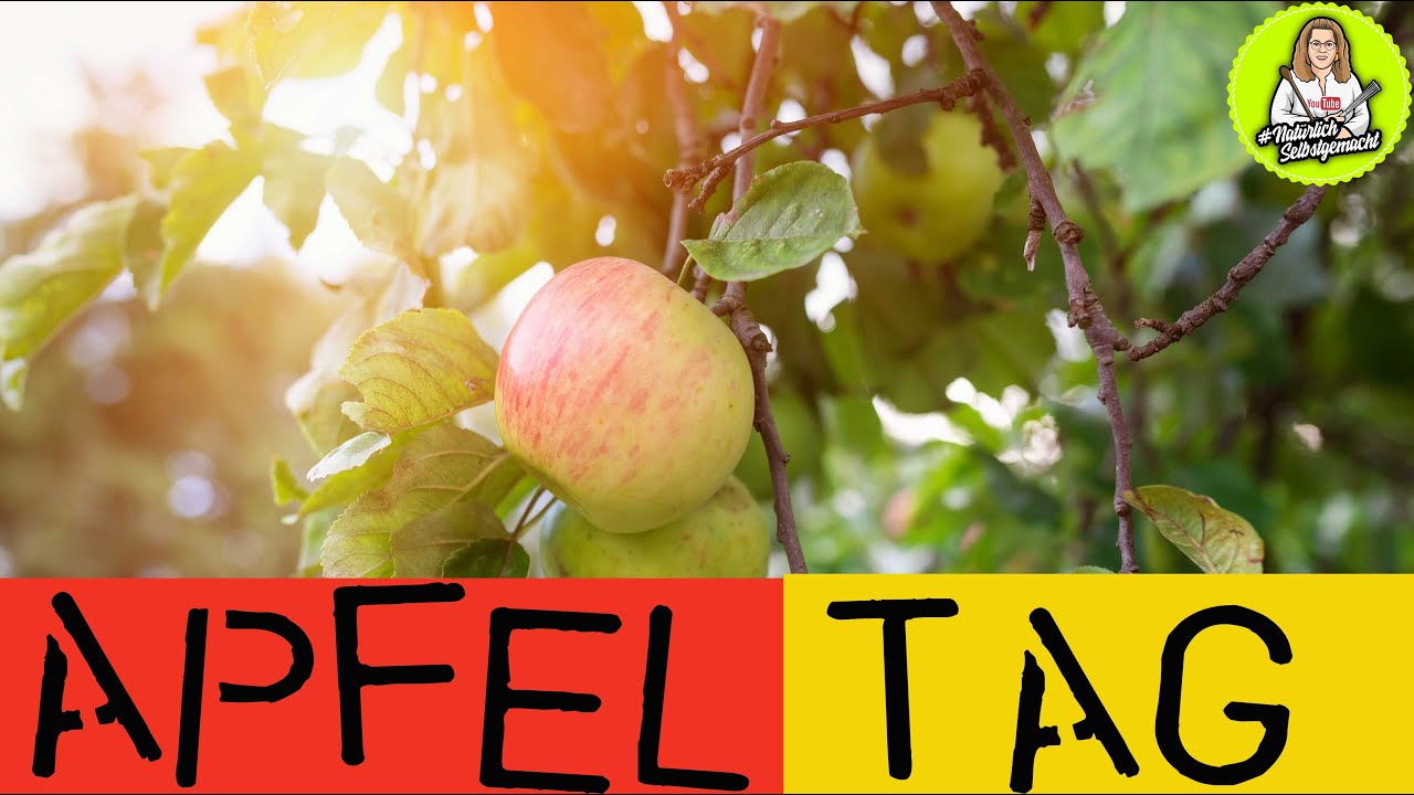 Von der Apfelernte zur Fruchtkelterei-Begleitet uns in die Kelterei und Hofladen