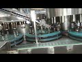 Liquor Filling 240 Bpm Filling Machine