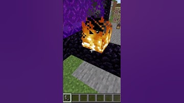 The Portal Logic  #minecraft #minecraftshorts