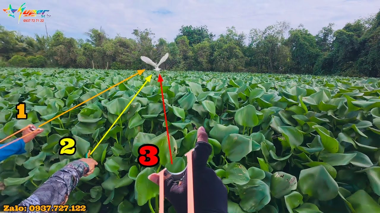 Slingshot M72 - Phối Hợp Săn Dưới Sông Và Trên Bờ Kiếm Mồi Cùng Ae Ngày Off