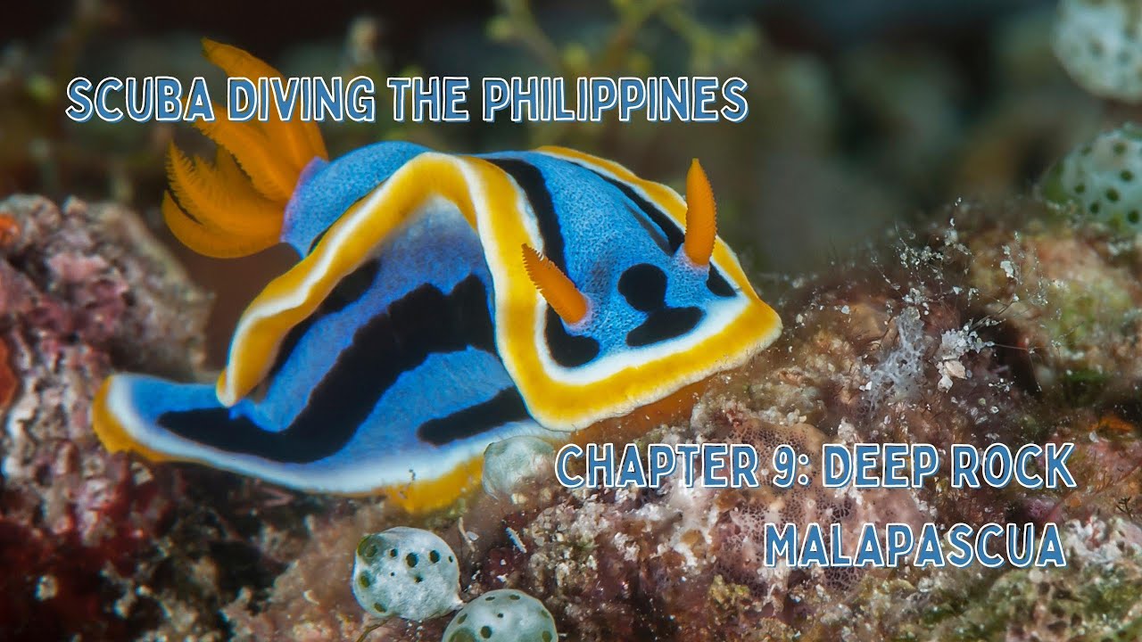 Scuba Diving The Philippines - Deep Rock 