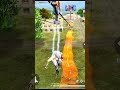 NEW 🔥TRAND🥵ALIGHT😈MOTION😼PRESET😱FF 😡NEW VIRAL SHORT IN YOUTUBE II#FF Sahin YT #shorts #freefire #ff