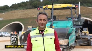 Sahanın Kaplanları