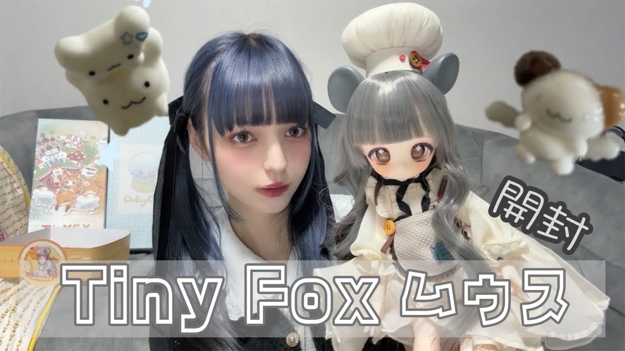 Unboxing] I adopted TinyFox Mousse - YouTube
